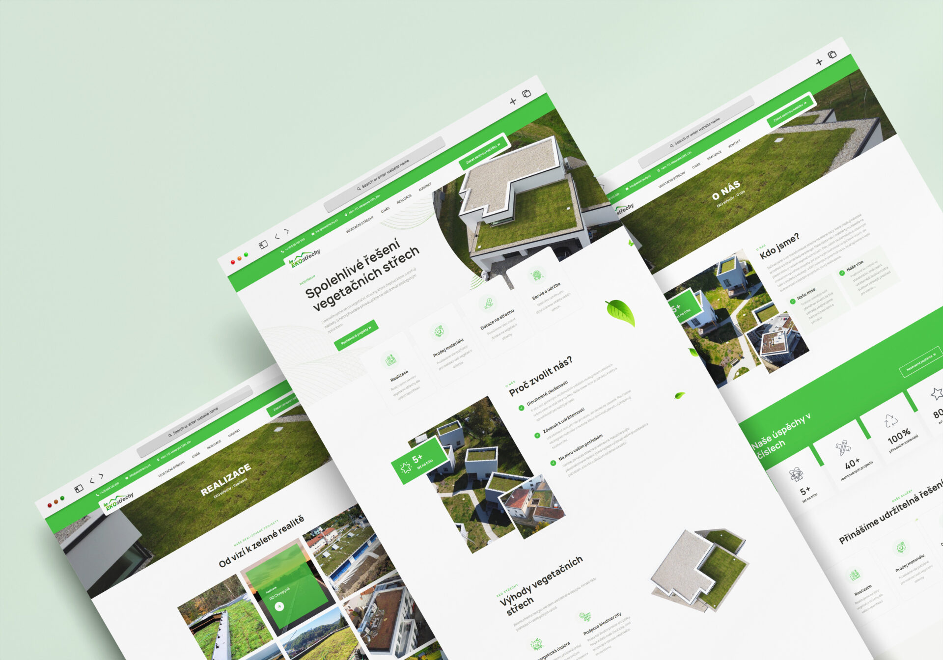 ekostrechy mockup